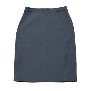 ANN TAYLOR lined dress skirt